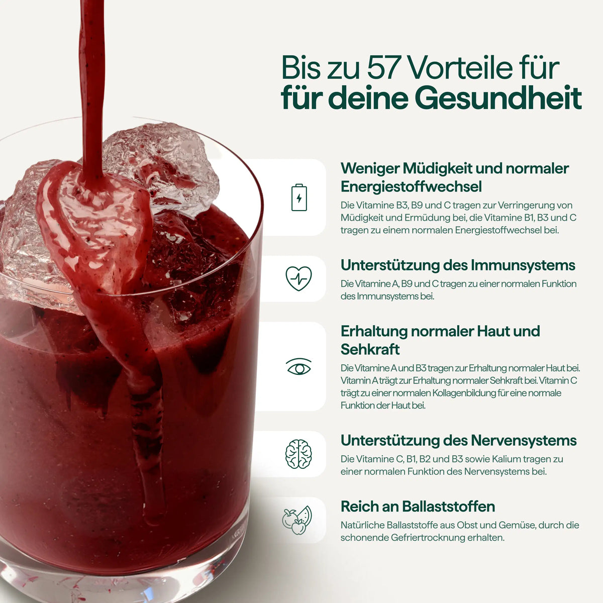 Entdeckungsset